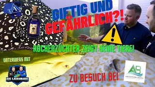 Giftig und gefährlich?! Zu Besuch bei ROCHENZÜCHTER I XXL Aquarien I Amazonasbecken.eu I TAX