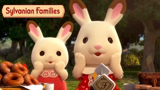 Ready or Not - Here Come the Babies! 💞👶 Compilation | Sylvanian Families