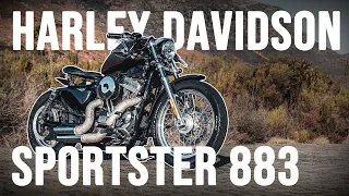 Is The Sportster 883 The Harley to Start On? | 07 Custom Harley Davidson Sportster 883 Ride & Review