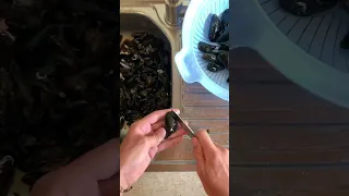 How to clean mussels! #cooking #mussels #shorts