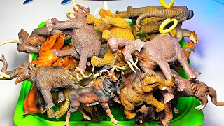 Prehistoric Animals Collection - Woolly Mammoth, Smilodon, Megacerops, Woolly Rhino, Mastodon