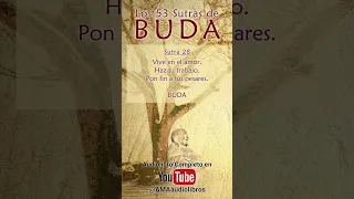 Buda - Sutra 28 (Del Audiolibro: Los 53 Sutras de Buda). #buda #budismo #espiritualidad #audiolibro