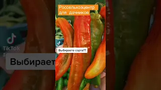 Россельхозцентр для дачников. Агроном плохого не посоветует. Перец сладкий Палермо. F1.