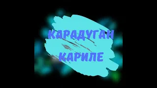 Юлчы - Карадуган, Кариле (Балтач районы)