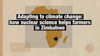 How nuclear science helps farmers in Zimbabwe