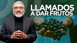 LLAMADOS A DAR FRUTOS - Predica completa - Salvador Gomez