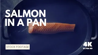 Stock Footage of Salmon in a Pan (4K UHD)