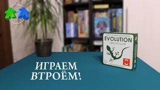 Играем в настольную игру Эволюция. Evolution board game. Let's play