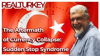 The Aftermath of Currency Collapse: Sudden Stop Syndrome