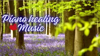 🎶Playlist (7 songs) comfortable piano healing music in the forest 4K / Resting music, insomnia