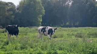 Natuurpark Levende Leie in vogelvlucht