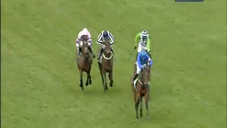 HURRICANE FLY is on top once again as he wins the 2013 Champion Hurdle at Cheltenham - Racing TV