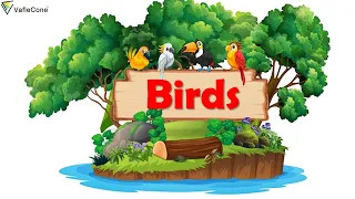 Birds - Beak , Claws and nest l Class 3 l CBSE l Science and EVS