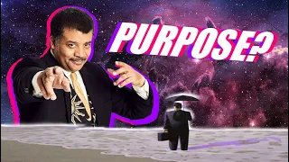 The Purpose of the Universe and Neil deGrasse Tyson