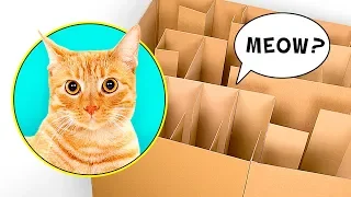 Un Labyrinthe En Carton Pour Chats Fait Maison