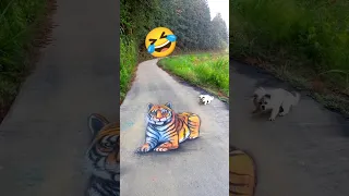 fake tiger prank dog 🐯🤣 #shorts #youtubeshorts #tiger #dog