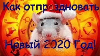 Новый год 2020. Год белой, металлической крысы. Как встретить?