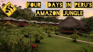 Four Days in Peru's Amazon Jungle