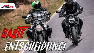 Es gibt sie noch! Honda CB650R & Suzuki SV650 - zukünftige Klassiker im Vergleich