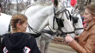 Tram Parade 2019. Парад трамваев 2019