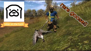 Bald lusistic goose with the bow!!!! (the hunter classic)