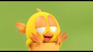 Where's Chicky? Funny Chicky 2023 | THE ASCENCION | Cartoon in English for Kids | New episodes