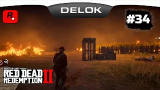 Сожгли табачные поля поместья  Брейтуэйт ¤ Прохождение Red Dead Redemption 2 #34