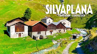 Silvaplana 4K - The Incredible Breathtaking Nature of Switzerland - Amazing Beautiful Nature Scenery