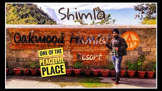 Aaj Sare paise khatam ho gaye 😟 |  Oakwood Hamlat 🏰 Resort Shoghi ( Shimla )