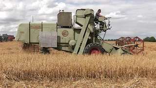 Little Ellingham Show 2023 Vintage Harvest