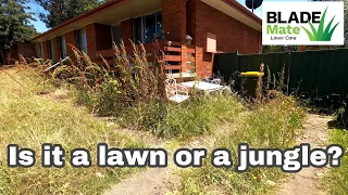 Ugly yard is now beautiful  - Mowing tall grass