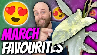 7 Plants I Love This March! | Monthly Favourites | Philodendron, Alocasia, Anthurium