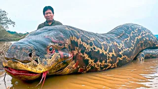 20 Abnormally Large Animals That Actually Exist