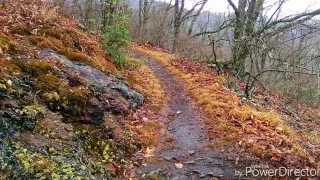 20. Day 18 Fontana Dam to Russell Field shelter. 2/15/17