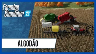 Algodão | Fardos REDONDOS e QUADRADOS no FARMING SIMULATOR 22