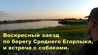 Воскресный заезд по берегу Среднего Егорлыка, и встреча с собаками.