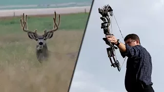 Mastering Long Distance Shots - Archery Tips