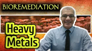 Bioremediation of Heavy Metals