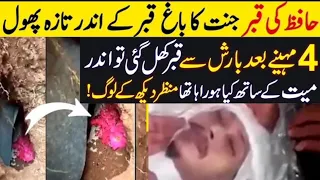 Allh Ki Qudrat: 4 Mah Bad Qabar Ke Andar K Manazar Dekhin:  Miracle Of AllahTala: Qabar ka Azab-