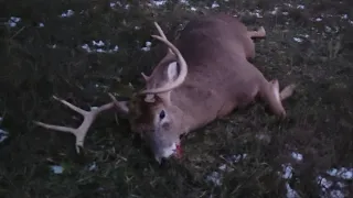 Opening day gun season NY southern zone 2022. Big buck down!