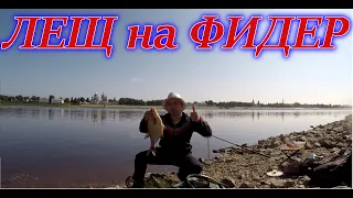 Ловля ЛЕЩА на фидер у дома, р.Сухона...