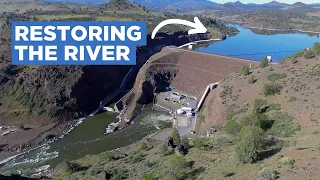 What Happens When You Remove a Dam