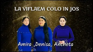 LA VIFLAEM ❄️Amira, Denisa, Ancheta din Bărbulești