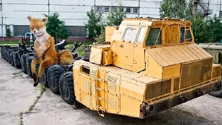 Секретные грузовики СССР, которые так и не встали на конвейер! Какое было у них предназначение?
