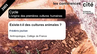 La main et l'outil : existe-t-il des cultures animales ?