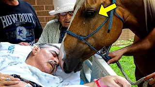 Dying man said his final goodbye to his horse. What the horse did next made people cry!