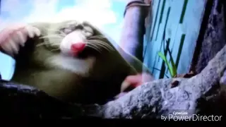 The Nut Job Fart Scene