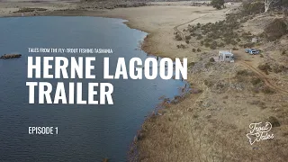 Tales From The Fly - Episode 1 Herne Lagoon (Trailer)