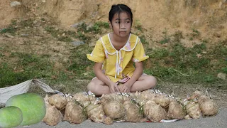 Poor Girl - Picking Yam Bean and go to sell, Taking care of her dog, lives alone in poverty