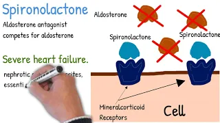 Spironolactone - Mechanism of action, use and side effects, simply explained